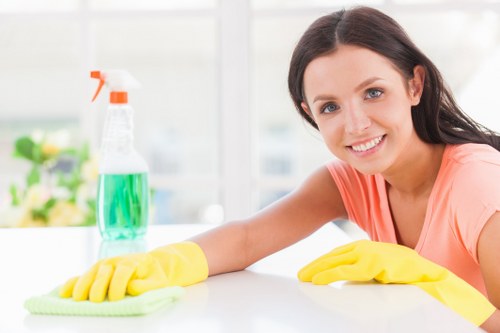 Professional sofa cleaning in Catford for a fresh living room