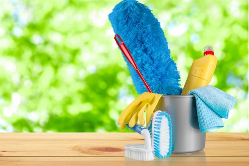 Professional after builders cleaning in a Catford renovated home