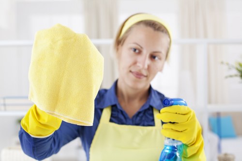 Deep cleaning service in a Catford home kitchen