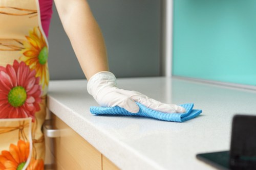 Professional carpets cleaner in Catford treating a home carpet