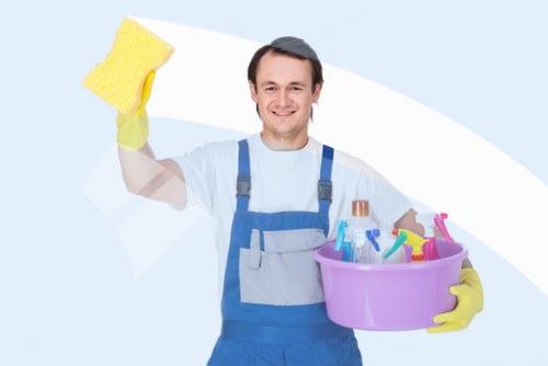 Professional upholstery cleaning service in a Catford living room