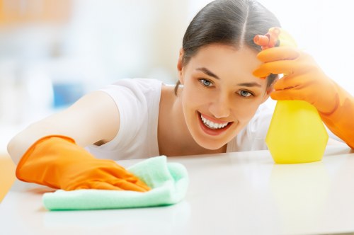 Professional end of tenancy cleaning service in Catford