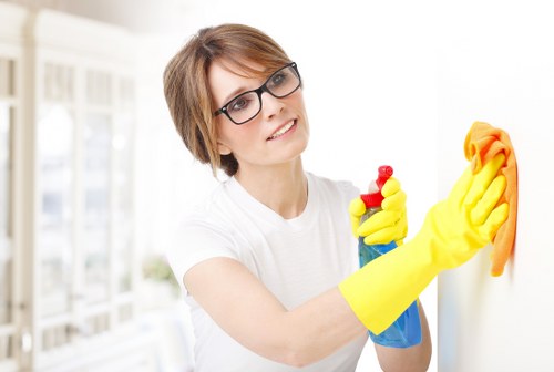 Professional cleaner in Catford for homes and businesses