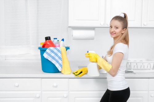 Local cleaners in Catford providing end of tenancy cleaning support