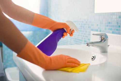 Professional cleaners in Catford servicing a home interior