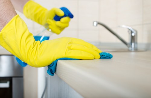 Domestic cleaning services in Catford