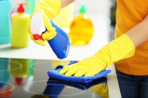 Reliable cleaning professionals maintaining a well-kept Catford space