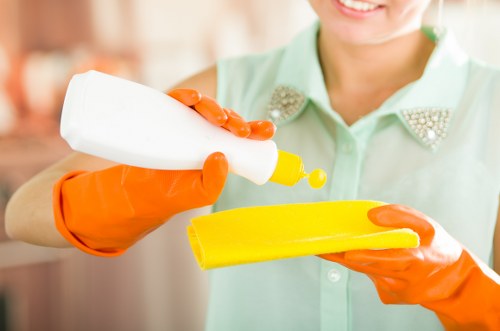 Catford cleaning team handling domestic and commercial spaces