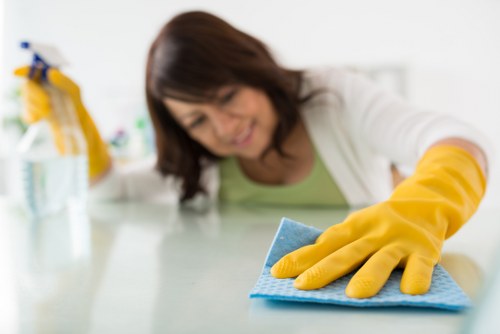Catford cleaners performing thorough cleaning in a bright room