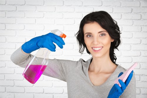 Stain removal and rug care for Catford properties