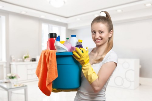 Dust removal after construction work in a Catford property