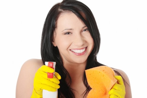 End of tenancy and eco-friendly cleaner in Catford