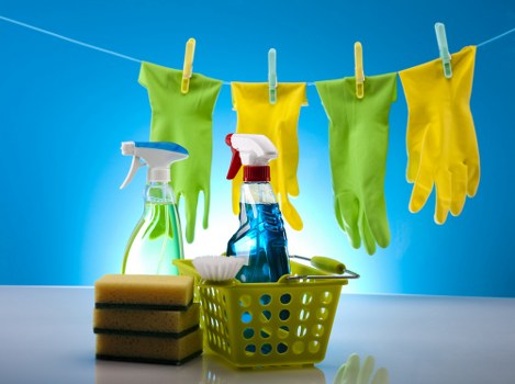 Kitchen deep cleaning during a Catford tenancy clean
