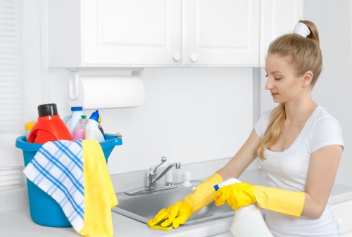 Deep carpet cleaning equipment removing dirt from carpet fibres