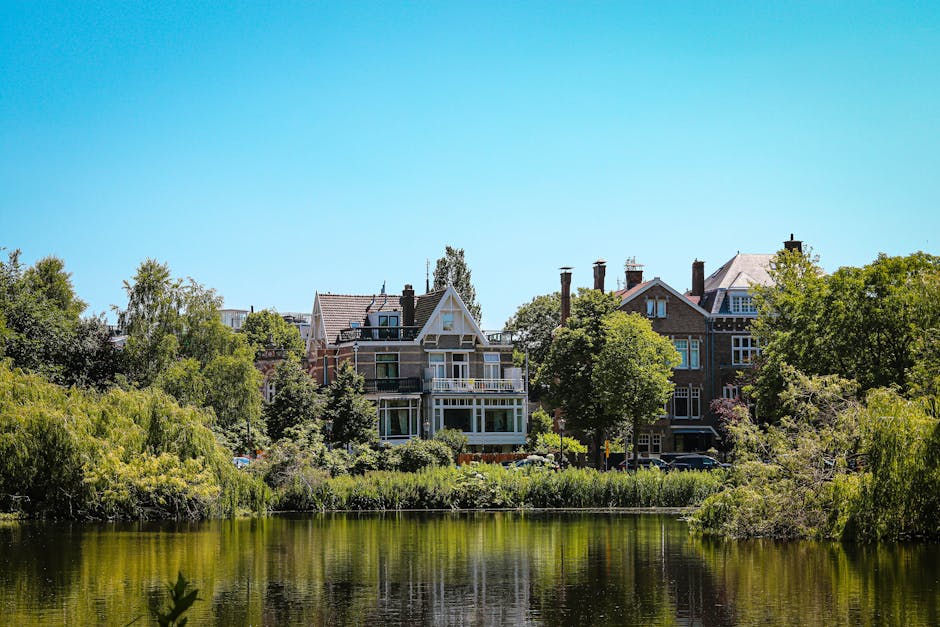 A scenic view of a residential area in Catford, featuring traditional Victorian-style houses with brick facades, large windows, and gabled roofs. The houses are surrounded by lush green trees and shru